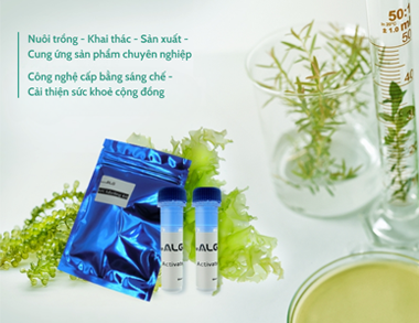 Hiện nay, Taiwan Oligo Fucoidan đang là một trong những thương hiệu Fucoidan hàng đầu trên thế giới bởi vì chất lượng, độ hiệu quả và tính an toàn của sản phẩm. Nếu bạn muốn tìm hiểu thêm về nguồn gốc, xuất xứ của Taiwan Oligo Fucoidan, hãy theo dõi