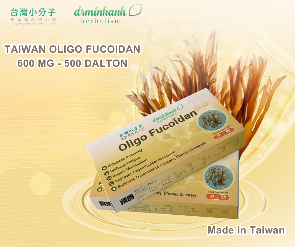 Taiwan Oligo Fucoidan giúp hỗ trợ, điều trị ung thư, bệnh lý mãn tính.