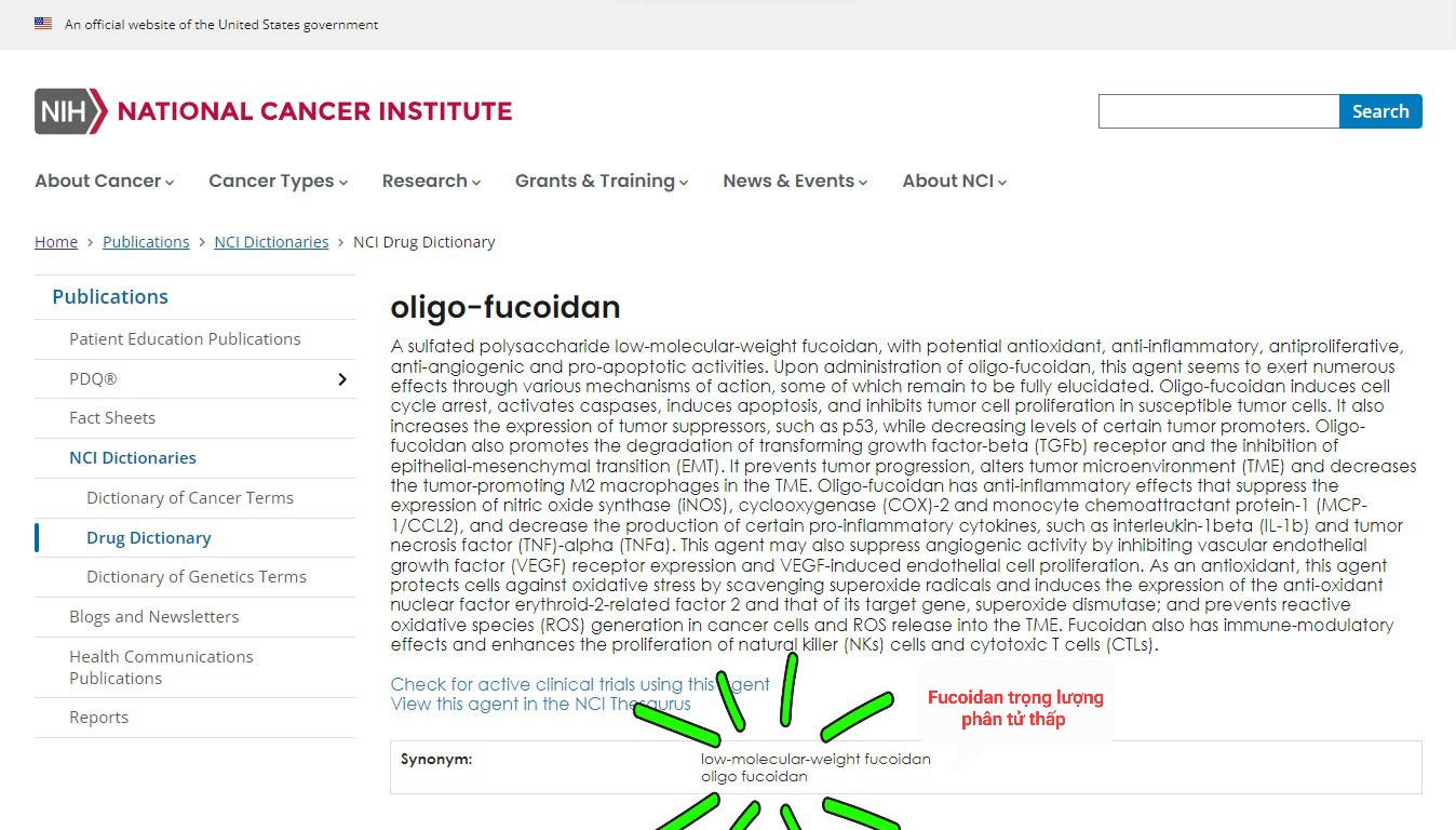 Những cột mốc quan trọng trong nghiên cứu và phát hiện ung thư! Oligo Fucoidan được liệt kê trong Từ điển Viện Ung thư Quốc gia Hoa Kỳ!